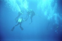 Decompression stop, after a wonderfull dive on the Zenobi... by Demetris Papadopoulos 